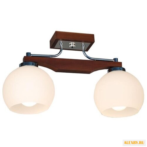 Дубравия Римма 192-41-22P