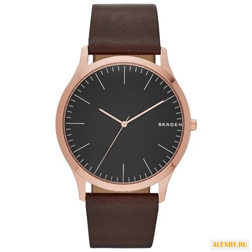 Наручные часы SKAGEN SKW6330