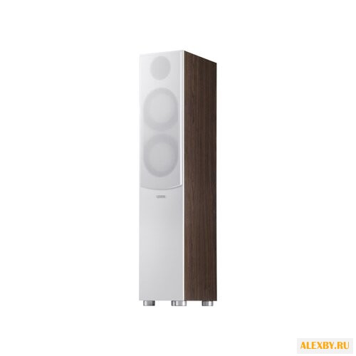 Акустическая система Canton GLE