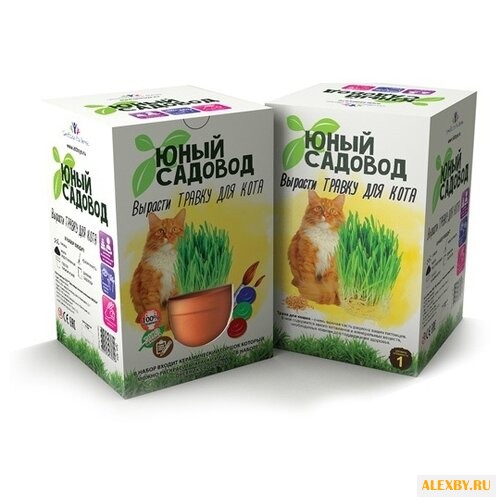 Набор для выращивания