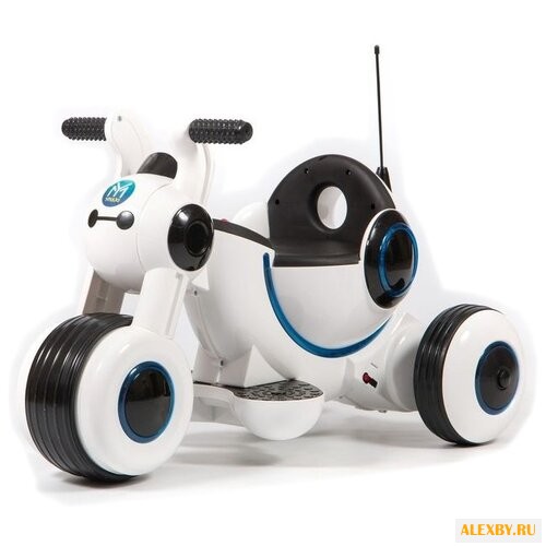 Barty Трицикл Y-MAXI YM77