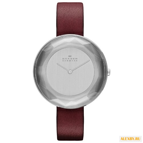 Наручные часы SKAGEN SKW2273