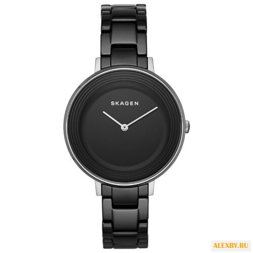 Наручные часы SKAGEN SKW2303