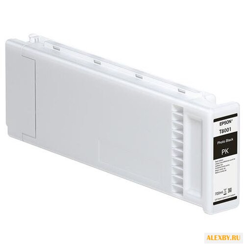 Картридж Epson C13T800100