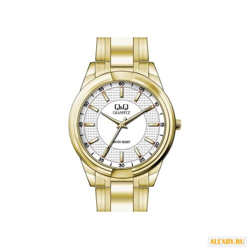 Наручные часы Q&Q Q866 J001