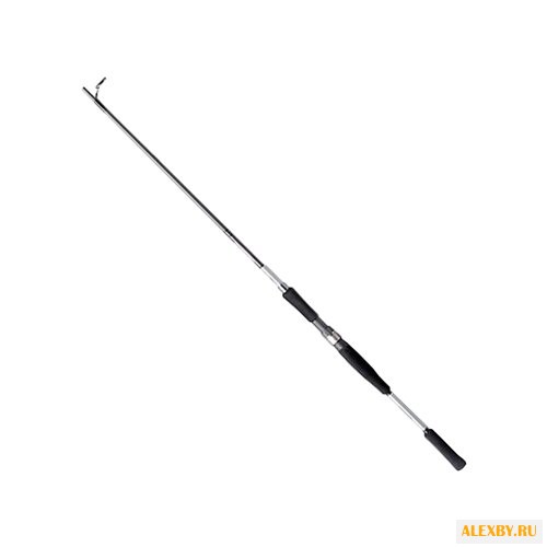 Удилище спиннинговое DAIWA