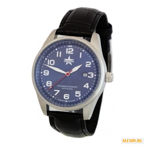 Наручные часы СПЕЦНАЗ С9370287