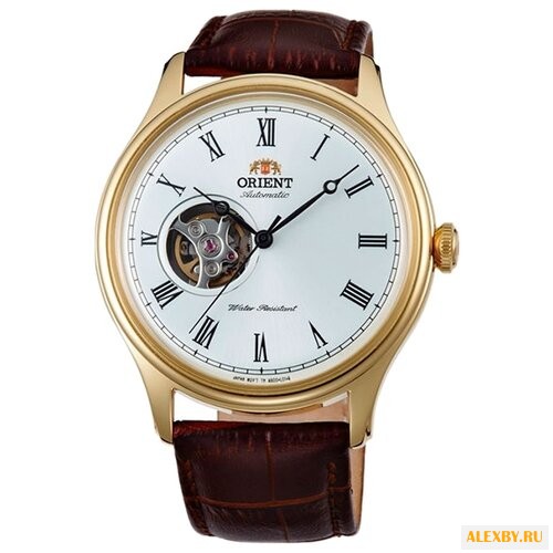 Наручные часы ORIENT AG00002W