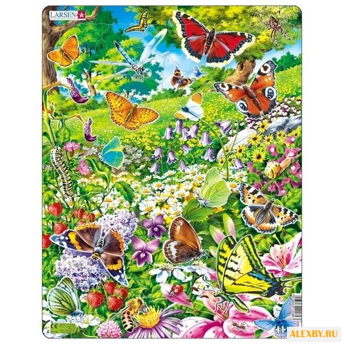 Рамка-вкладыш Larsen Бабочки
