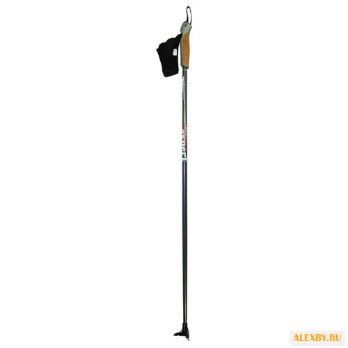 Лыжные палки Gekars Expert Plus
