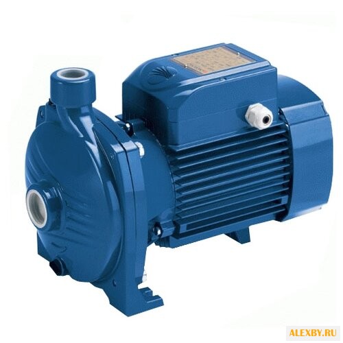 Насос Pedrollo CP160C CP25 160B