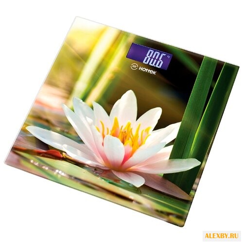 Весы Hottek HT-962-013