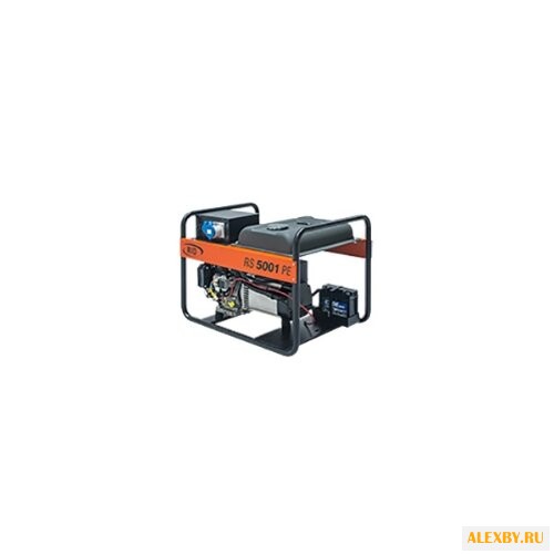 Бензиновая электростанция RID