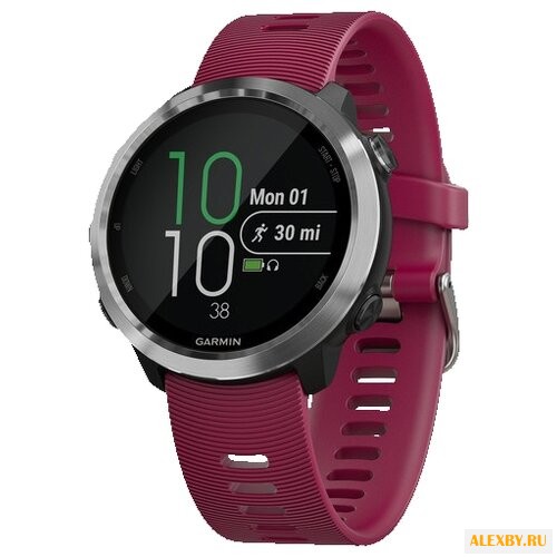 Часы Garmin Forerunner 645 Music