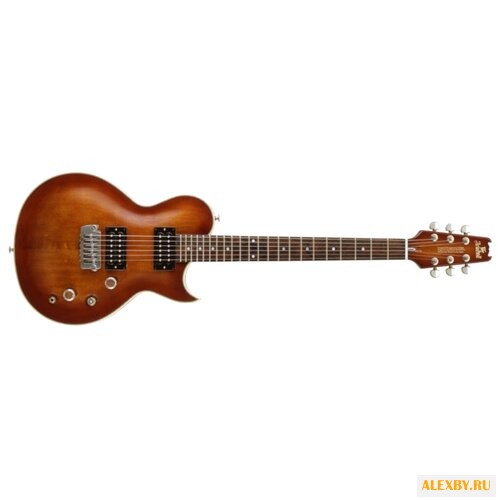 Электрогитара ARIA PE-1500RI