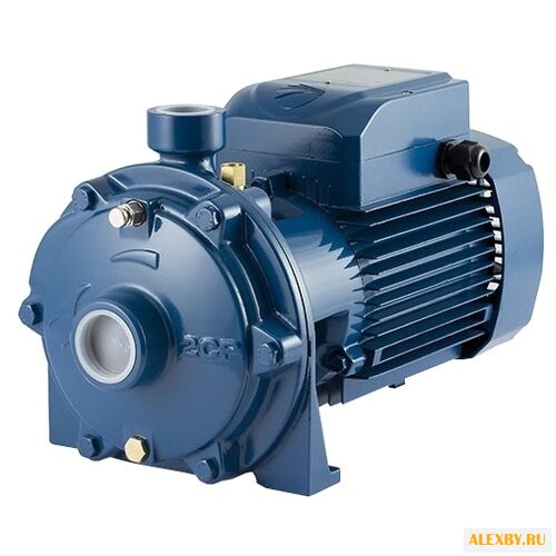 Насос Pedrollo 2CPm 25 16A