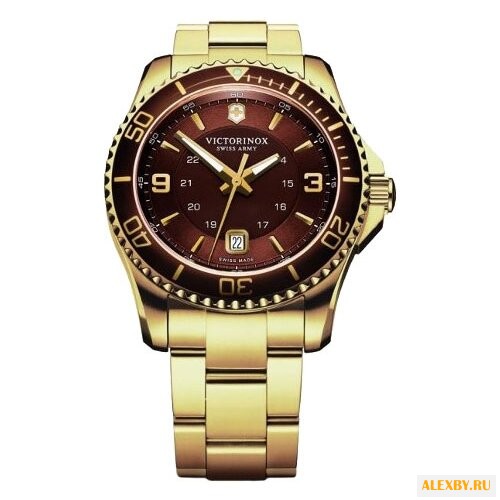 Наручные часы VICTORINOX V241614