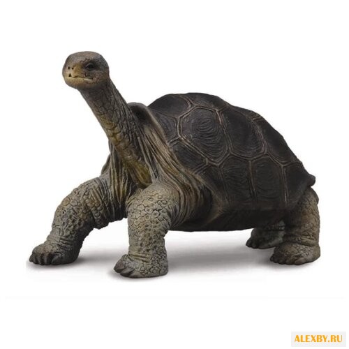 Фигурка Collecta Абингдонская