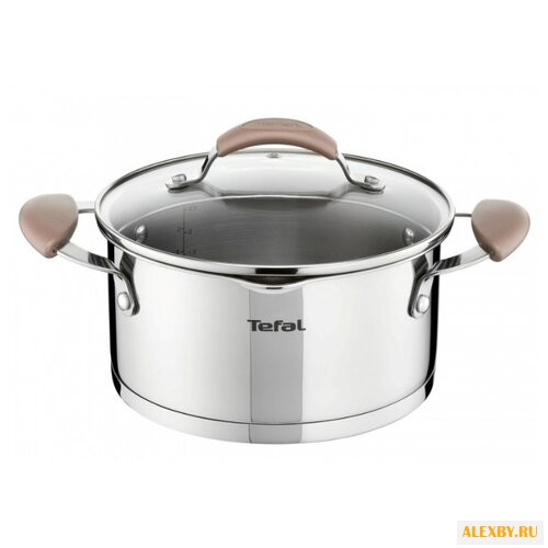 Кастрюля Tefal Inspiration 29 л