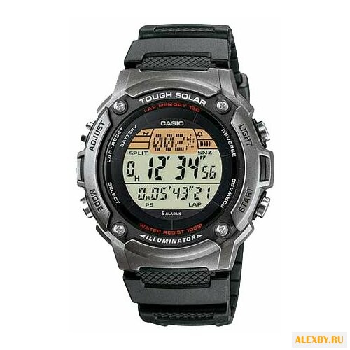 Наручные часы CASIO W-S200H-1A