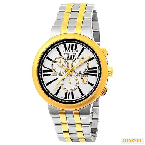 Наручные часы Haas SMFH013CWA