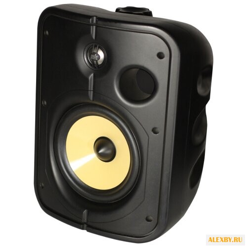 Акустическая система PSB CS1000