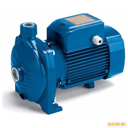 Насос Pedrollo CP 250B-N