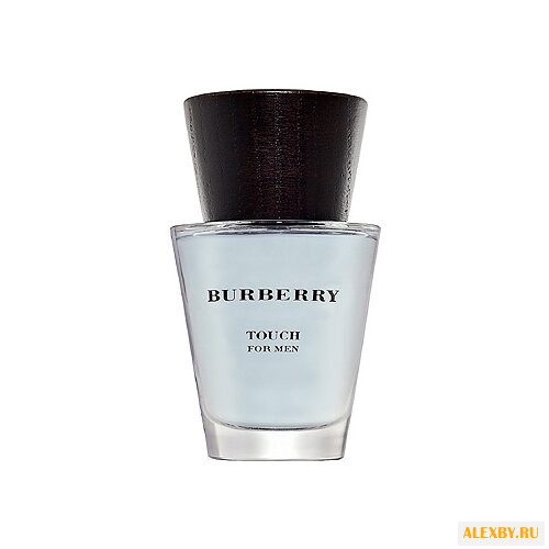 Burberry Touch for Men