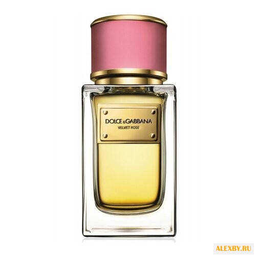 DOLCE & GABBANA Velvet Rose