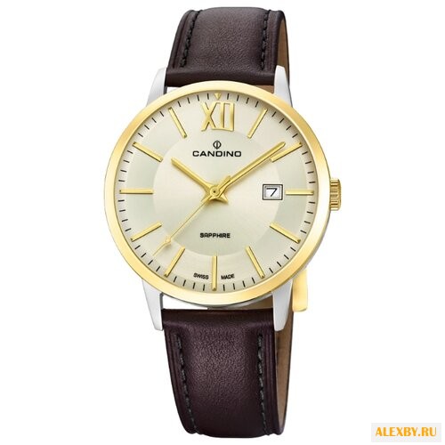Наручные часы CANDINO C4619_1