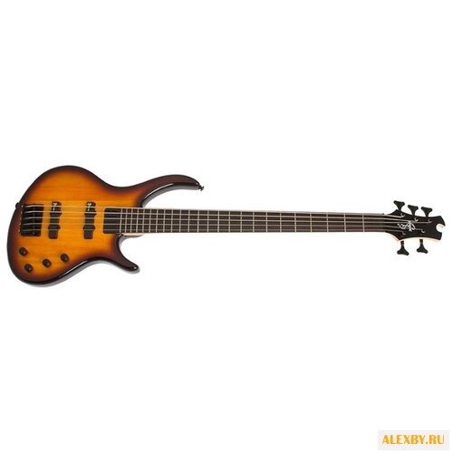 Бас-гитара Epiphone Toby Deluxe V