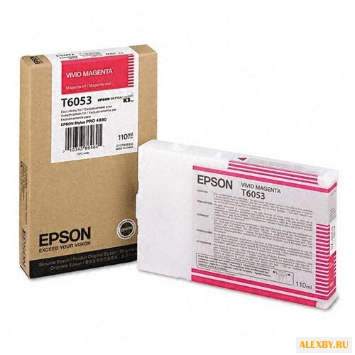 Картридж Epson C13T605300