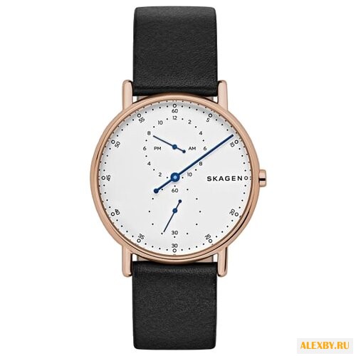 Наручные часы SKAGEN SKW6390