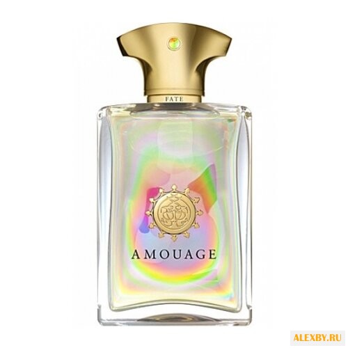 Amouage Fate Man