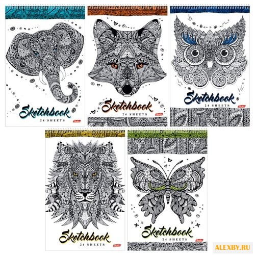 Скетчбук Hatber Doodle Art