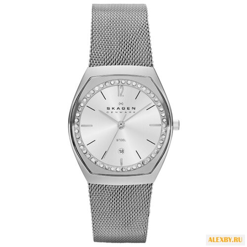 Наручные часы SKAGEN SKW2049