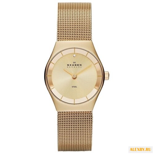 Наручные часы SKAGEN SKW2045
