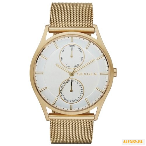 Наручные часы SKAGEN SKW6173