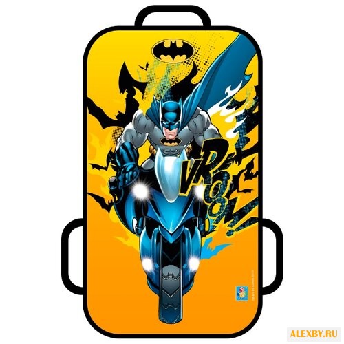 Ледянка 1 TOY Бэтмен Т10454