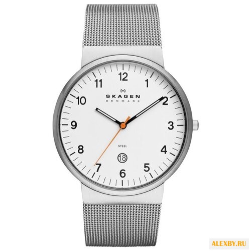 Наручные часы SKAGEN SKW6025