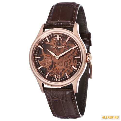 Наручные часы EARNSHAW ES-8061-04