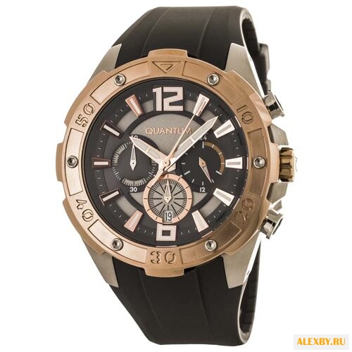 Наручные часы QUANTUM PWG373.566