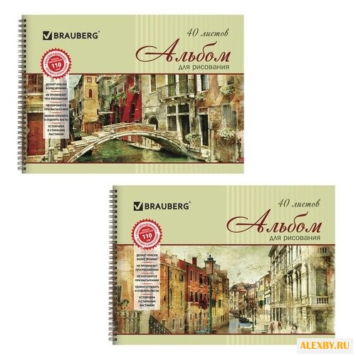 Альбом для рисования BRAUBERG