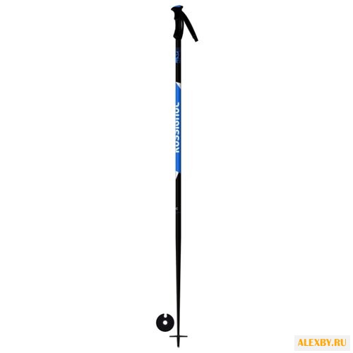 Палки для горных лыж Rossignol