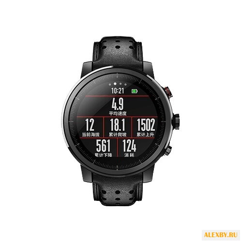 Часы Amazfit Stratos Smart