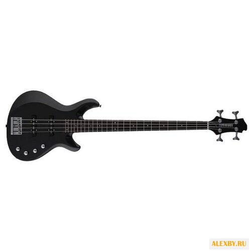 Бас-гитара Fernandes Guitars