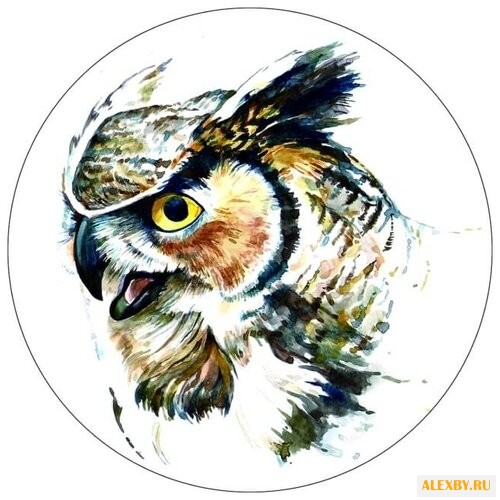 Цветной Вышивка крестом Филин