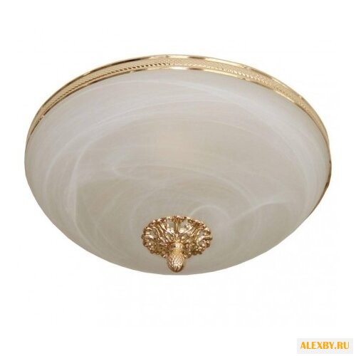 Lucia Tucci Sesto 178.3 R40