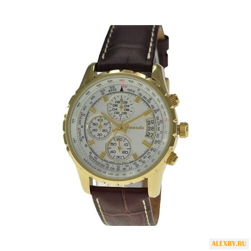 Наручные часы Guardo S02557R.6