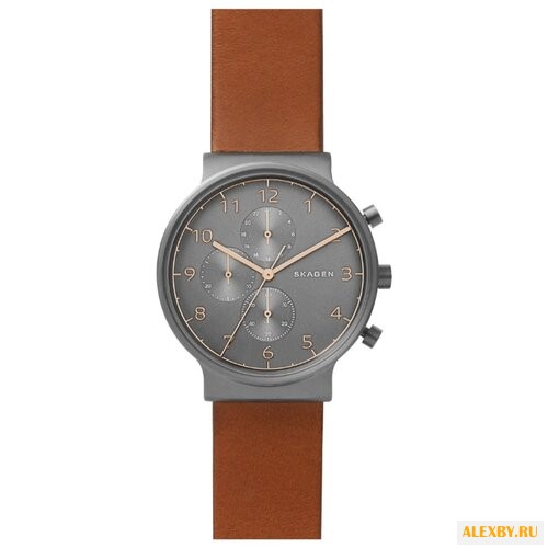 Наручные часы SKAGEN SKW6418